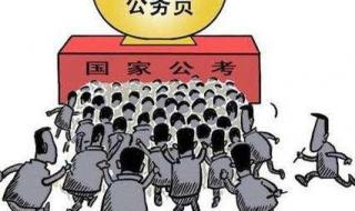 基层工作经验是什么